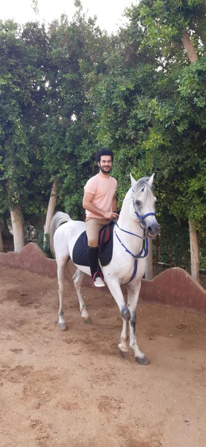 Gasthof The Farm - & Horse Riding