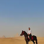 The Farm - Hotel & Horse Riding