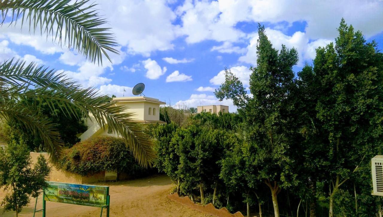 The Farm - & Horse Riding * Cairo