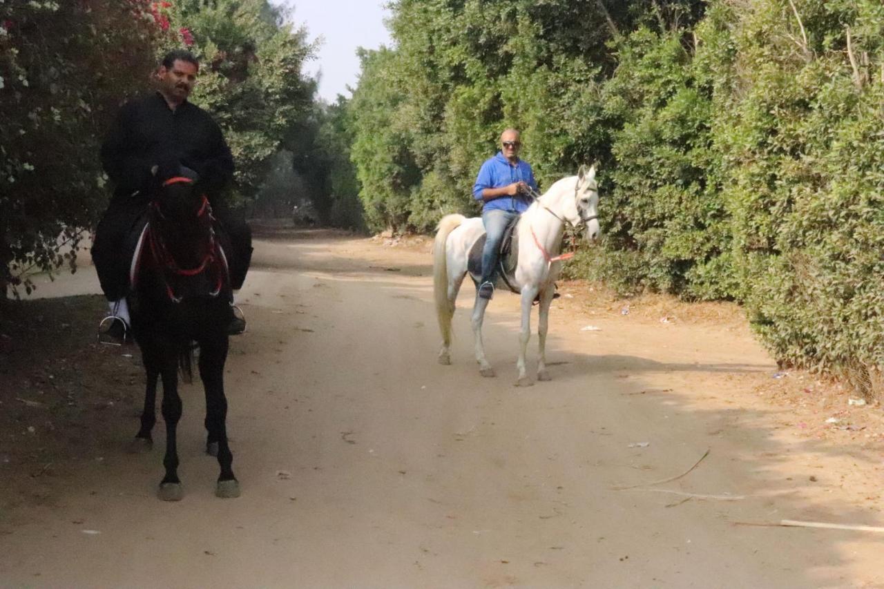 Inn The Farm - & Horse Riding Cairo