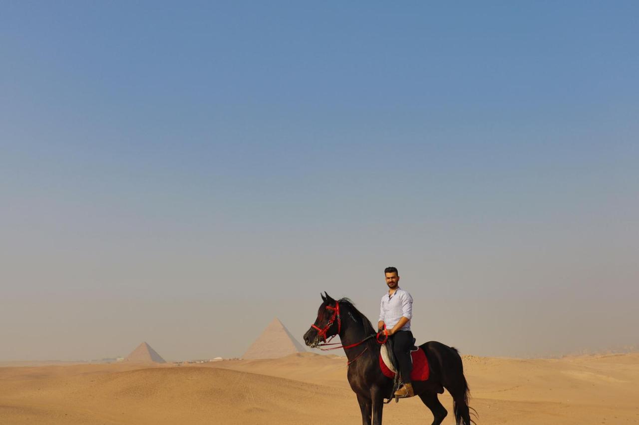 The Farm - & Horse Riding * Cairo