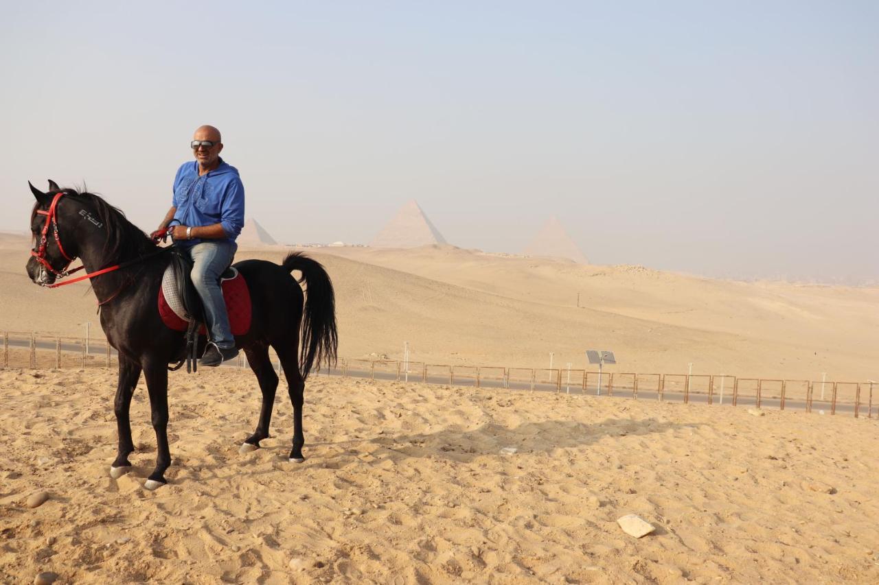 The Farm - & Horse Riding Mini-hôtel Le Caire