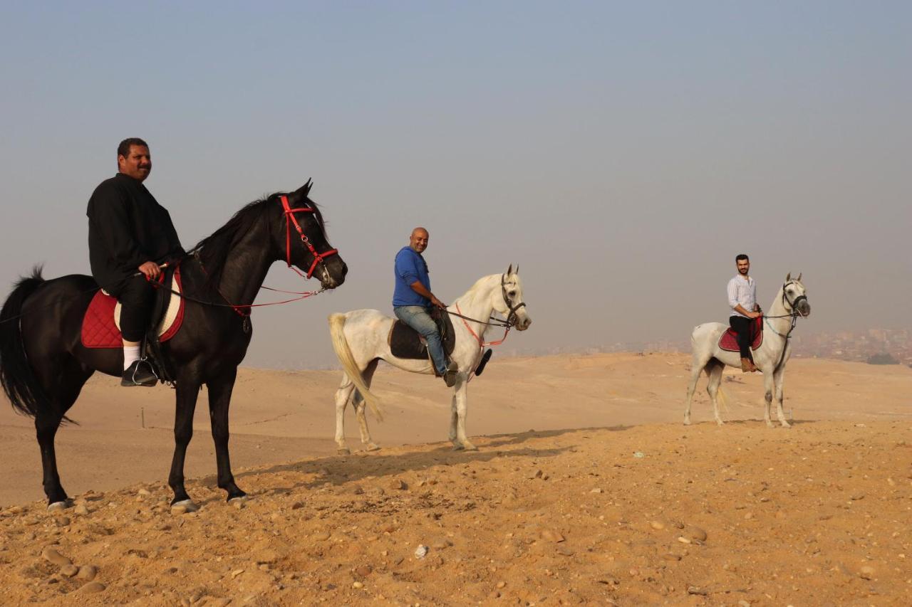 The Farm - & Horse Riding Inn Cairo