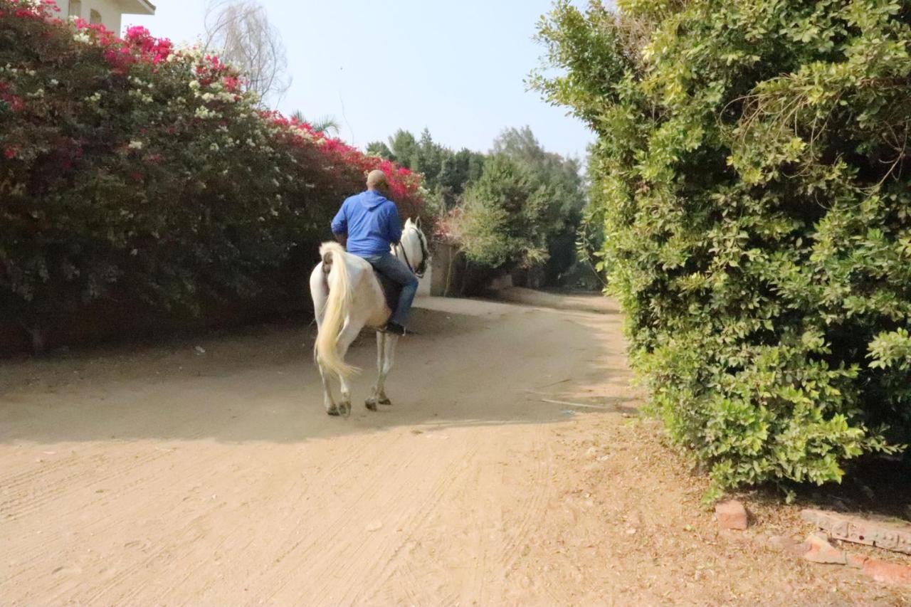 The Farm - & Horse Riding