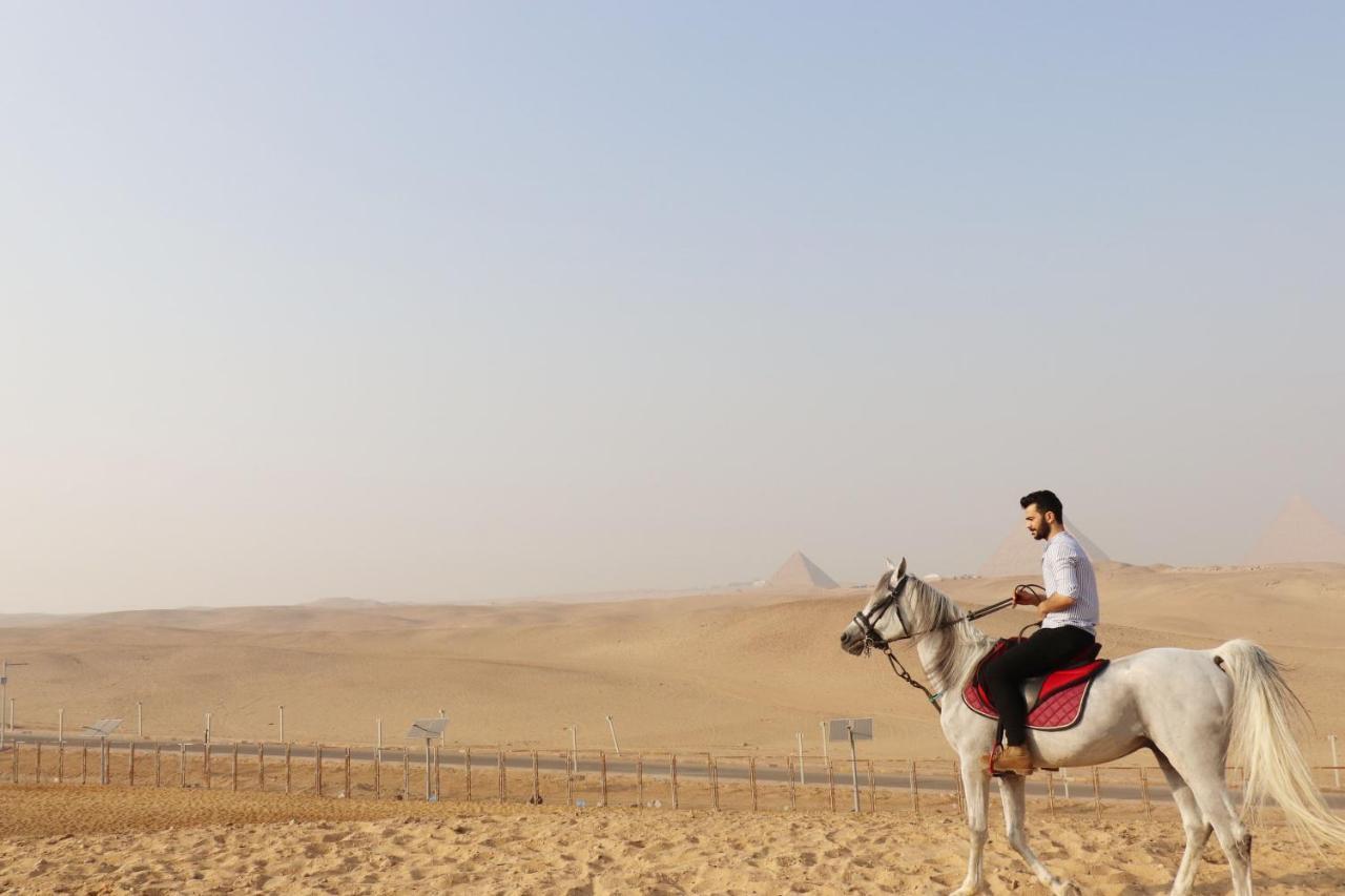 The Farm - & Horse Riding Inn Cairo